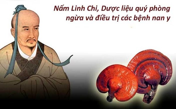 Tại sao nấm linh chi lại được y học đánh giá cao?