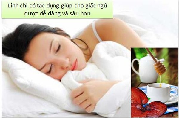 Ngủ ngon giấc hơn nhờ nấm linh chi đỏ