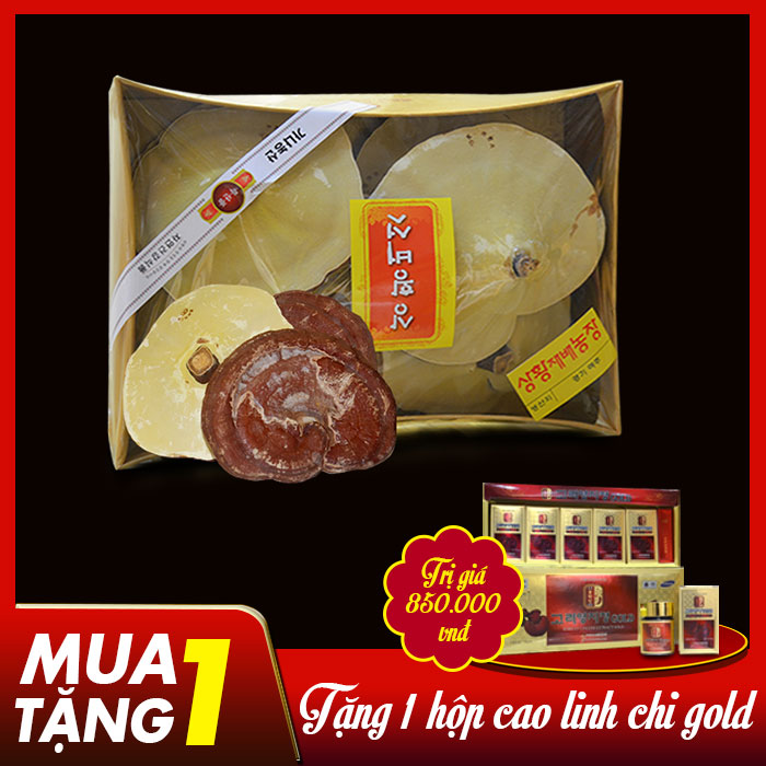 Nấm linh chi thượng hạng hộp quà biếu L027