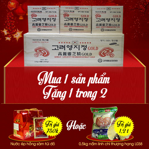 Cao Linh Chi Núi 6 năm tuổi – hộp gỗ trắng Gold L030