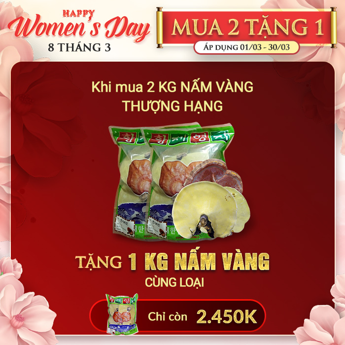 Nấm linh chi vàng thượng hạng đặc biệt túi xanh L038