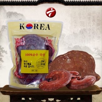 Nấm linh chi Đỏ (Túi 3-6 tai/kg) Hàn Quốc L002