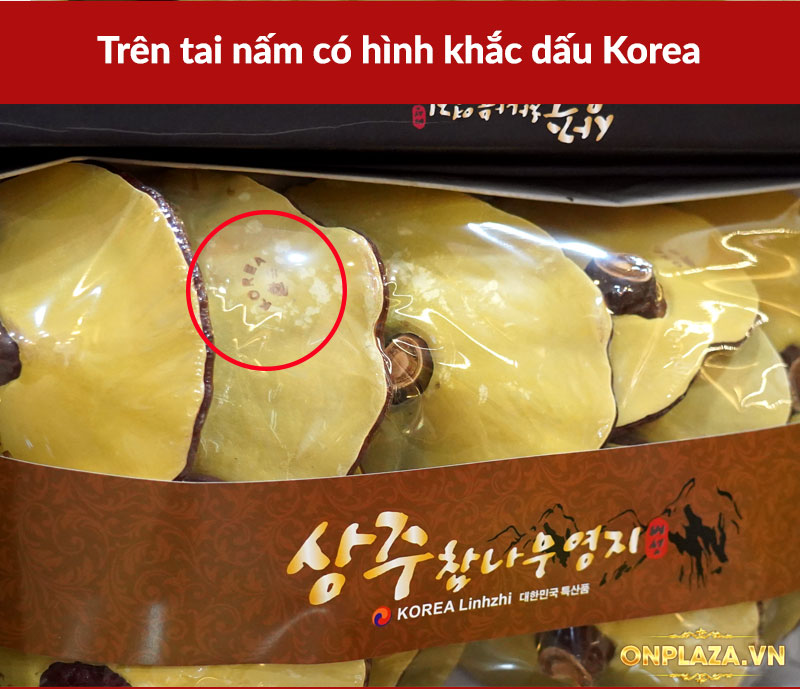 Nấm linh chi Hàn Quốc dòng cao cấp đóng hộp 1kg L052 5